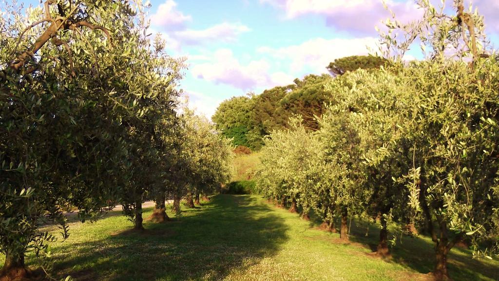 Podere La Casuccia Malmantile 部屋 写真